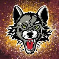 (#5) Chicago Wolves – 2 Tickets + Official Hoodie item