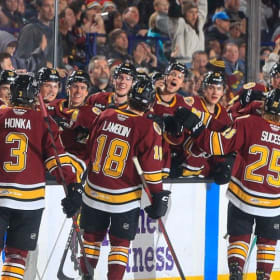 (#5) Chicago Wolves – 2 Tickets + Official Hoodie item