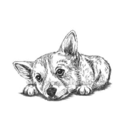 "Pensive Puppy" 10x12 by Dr. S.L. Yang item