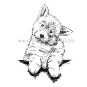 "Watching" 12x10 by Dr. S. L. Yang item