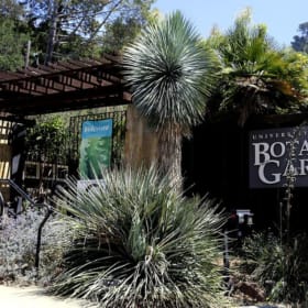 UC Botanical Gardens 1 Year Family Plus Membership item