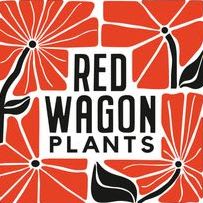 Red Wagon Plants item