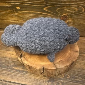 I - Shadow the Manatee item