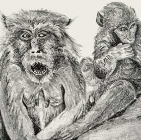 you found us somewhere item