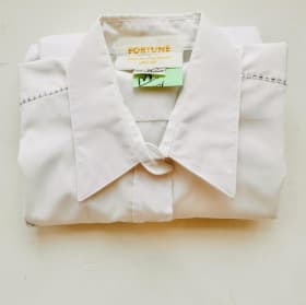 Fleur de Lis blouse item