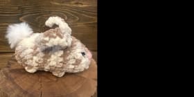 AS - Tater Tot the Rabbit item