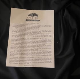 1994 Oak Tree 25th anniversary beer stein item