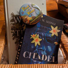 Bold Books, Big Feels – The CM Alongi Bundle! item