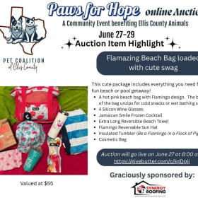 Flamazing Beach Bag loaded with cute swag item