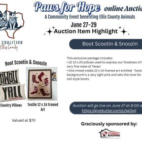 Boot Scootin & Snoozin! item