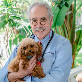 Vet for a Day – Kids Experience at Calusa Veterinary - $500 item