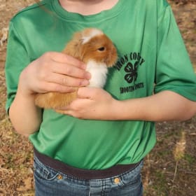 Petting zoo item