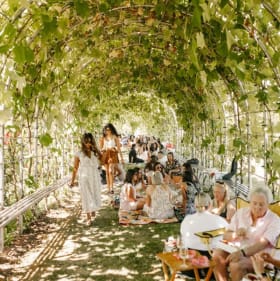 The LuLu Island Winery Estate Tour for 4 people - Set 2 item