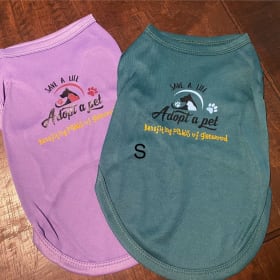 Small Dog Shirt item