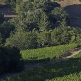 Music in the Vineyards Concert "Schumann in Good Company" item