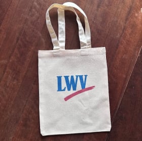 In My Democracy Era item