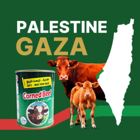 Gaza (From India) item