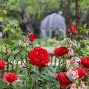 Descanso Gardens item