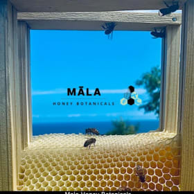 Honey + Herbal Oil Cleansing Balm crafted by Mala Honey item