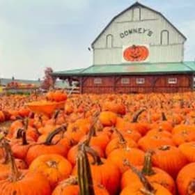 Downey's Farm - five passes item