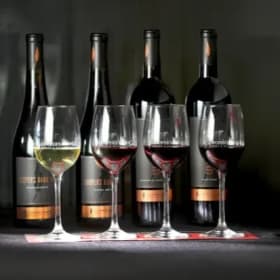 Lux Wine Tasting for 4 item