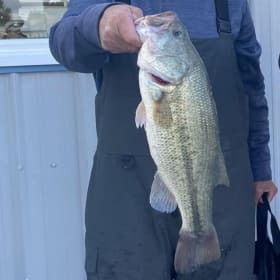 Big Bass item