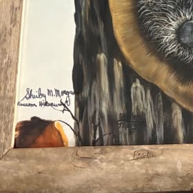 Raccoon Hideaway item