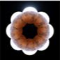 # 8 | Éclipse lunaire item
