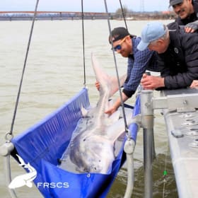 FRSCS Experience Day item