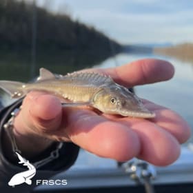 FRSCS Experience Day item