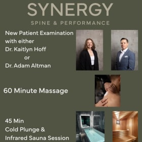 Synergy Spine and Performance Wellness Package item
