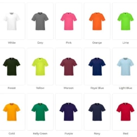 T-Shirt (Dry-Fit) item