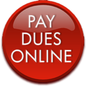 2025 All-Star Dues item