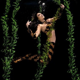 Saturday (July 26th) Session 4: 6:15pm-6:45pm item