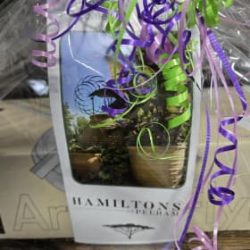 Butterfly DIY Wall Clock: $100 Value item