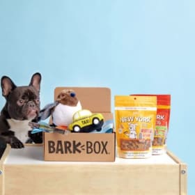 A Month of Tail-Wagging Fun 🐾🎁 item