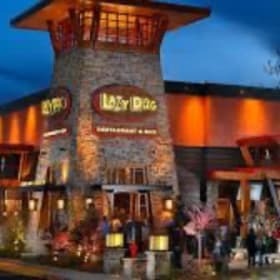 Relax & Dine at Lazy Dog 🐶🍴 item