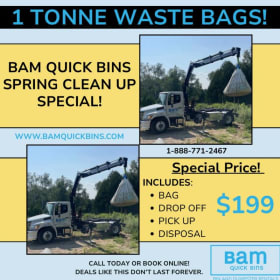 BAM Spring Cleanup #2 item