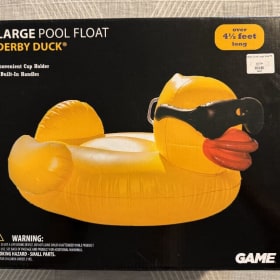 Pool duck!! item