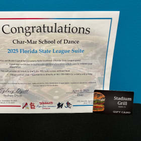 Baseball Fun- Value $625 item