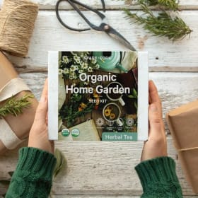 Garden & Glow: Tea, Seeds & Sweetness Bundle item