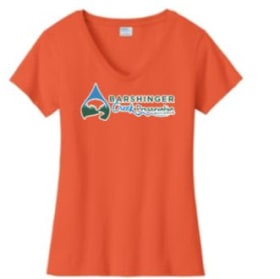 Ladies SS V-neck Tee, S - XL Navy, Dark Green, Orange item