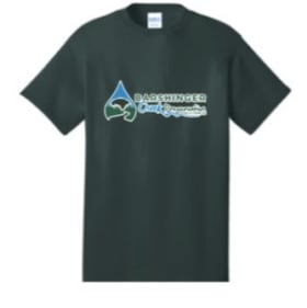 Adult Crew T-shirt, 3XL - 6XL Steel Blue, D. Green, Orange item