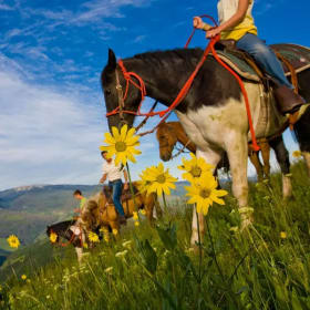 7-Night Colorado Mountain Getaway for Four item