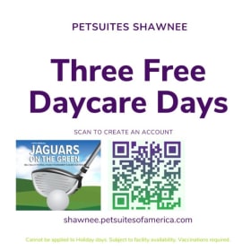 Pet Suites - 3 Days of Doggy Daycare item