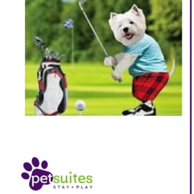 Pet Suites - 3 Days of Boarding for Dogs or Cats item