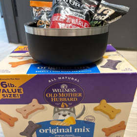 Photo of Dog Lovers Gift Basket
