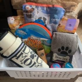 Beach Themed Dog/Human Basket item