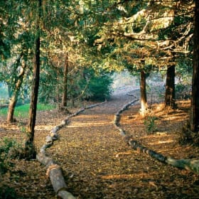 Nature-Themed Birthday Party - Environmental Nature Center item
