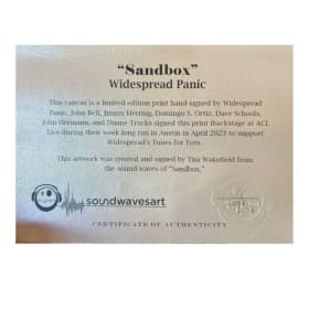 Rare Soundwave "Sandbox" by Widespread Panic print SIGNED item